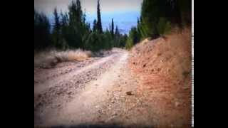 FREERIDE MTB ANTONIS