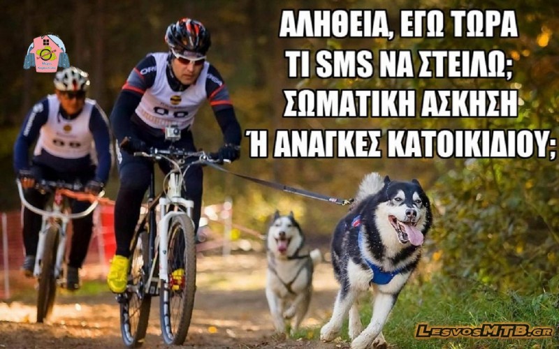 Άσκηση ή κατοικίδιο;