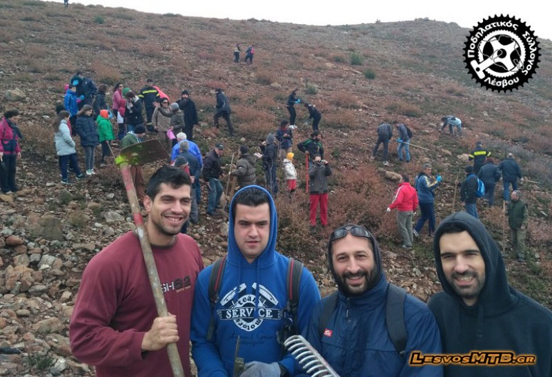 3η σπορά πεύκων στην Αμαλή - Ανασκόπηση