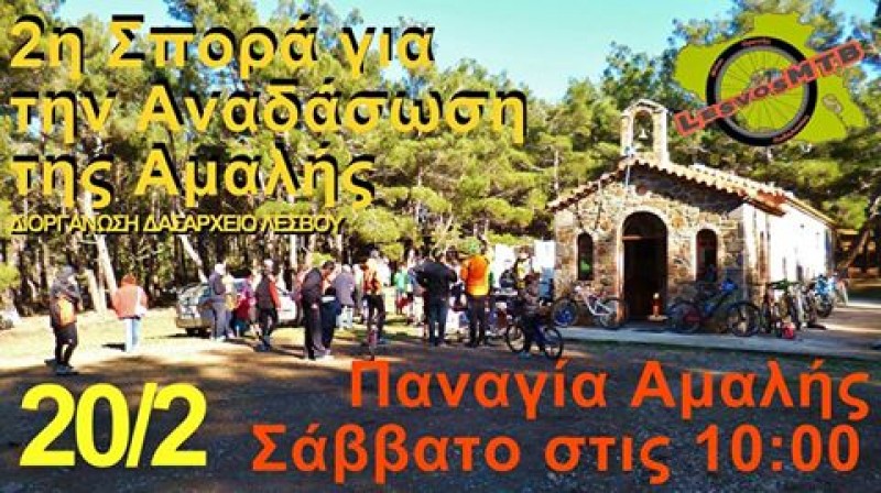 Αναδάσωση Αμαλής