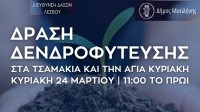 Δράση δενδροφύτευσης από την Διεύθυνση Δασών Λέσβου και τον Δήμο Μυτιλήνης